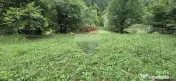 Teren de vis de 2.800 mp pe Valea Tărcăului – Cu lac natural și pădure 