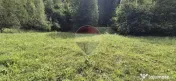 Teren de vis de 2.800 mp pe Valea Tărcăului – Cu lac natural și pădure 