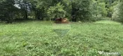 Teren de vis de 2.800 mp pe Valea Tărcăului – Cu lac natural și pădure 