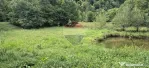 Teren de vis de 2.800 mp pe Valea Tărcăului – Cu lac natural și pădure