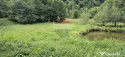 Teren de vis de 2.800 mp pe Valea Tărcăului – Cu lac natural și pădure 