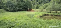 Teren de vis de 2.800 mp pe Valea Tărcăului – Cu lac natural și pădure