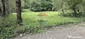 Teren de vis de 2.800 mp pe Valea Tărcăului – Cu lac natural și pădure 
