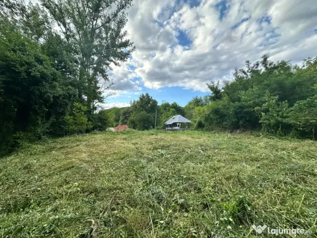 Proprietar, vând teren intravilan 643 mp în Cernelele (Păușești Otăsău)