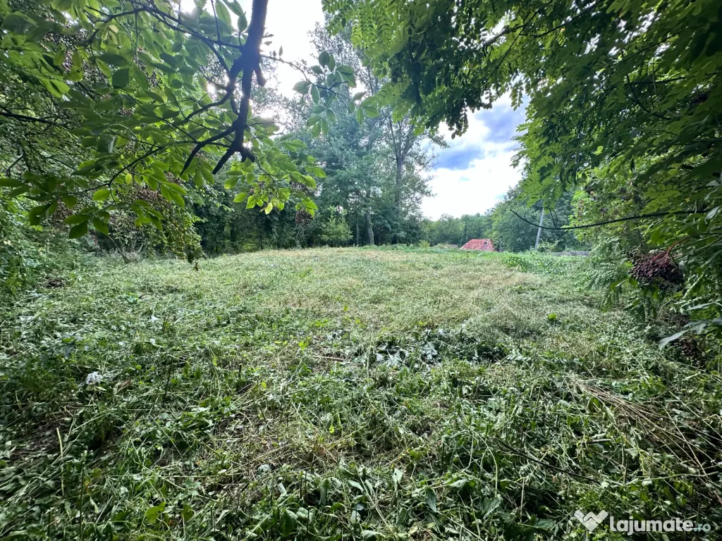 Proprietar, vând teren intravilan 643 mp în Cernelele (Păușești Otăsău)