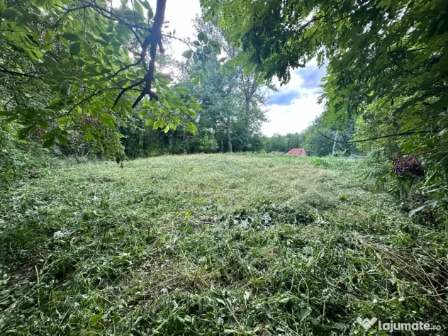 Proprietar, vând teren intravilan 643 mp în Cernelele (Păușești Otăsău)