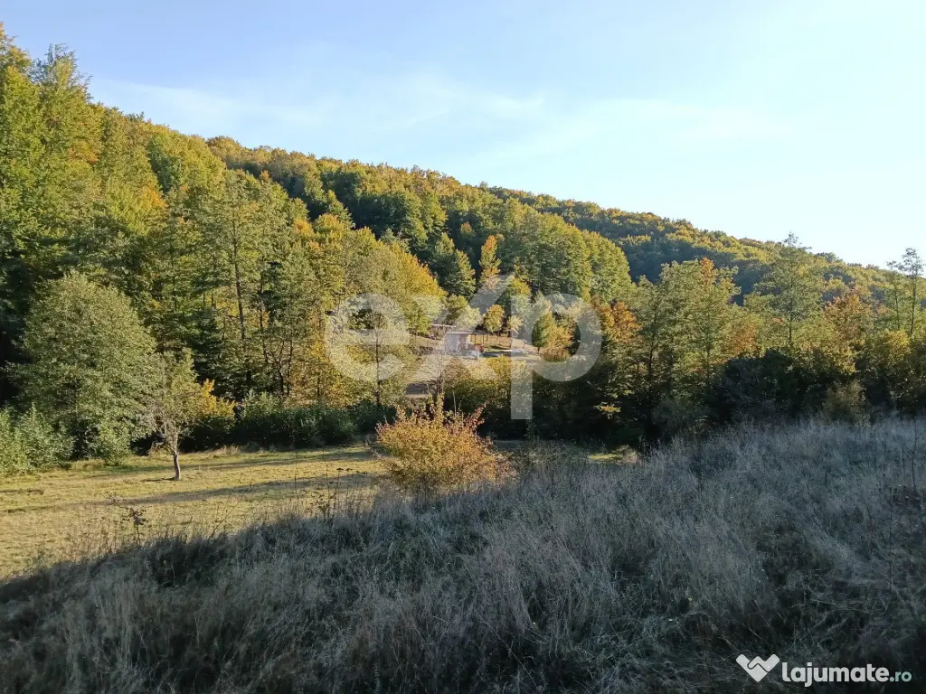 TERENUL PE CARE NU-L CAUȚI… DAR CÂND ÎL VEZI, ÎL VREI! - Vulturesti (Arges)