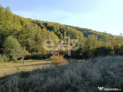 TERENUL PE CARE NU-L CAUȚI… DAR CÂND ÎL VEZI, ÎL VREI! 