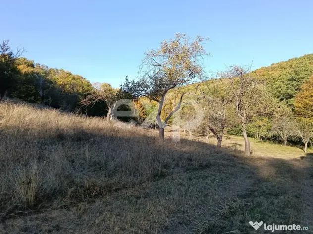 TERENUL PE CARE NU-L CAUȚI… DAR CÂND ÎL VEZI, ÎL VREI! - Vulturesti (Arges)