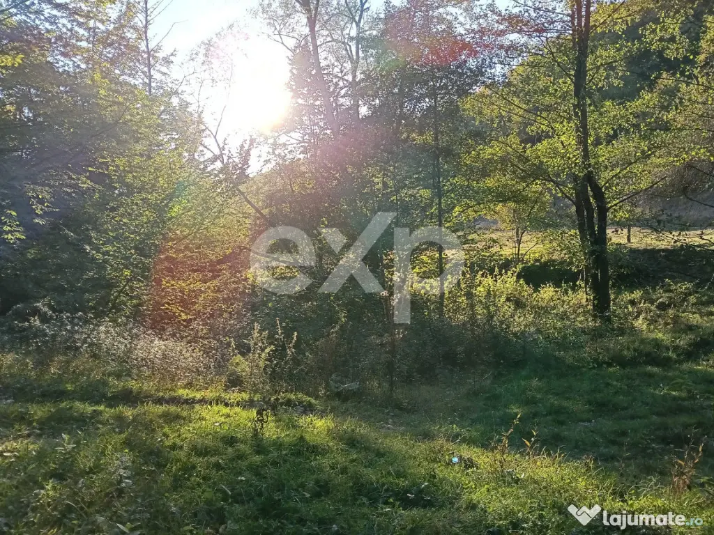 TERENUL PE CARE NU-L CAUȚI… DAR CÂND ÎL VEZI, ÎL VREI! - Vulturesti (Arges)