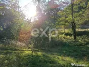 TERENUL PE CARE NU-L CAUȚI… DAR CÂND ÎL VEZI, ÎL VREI! 