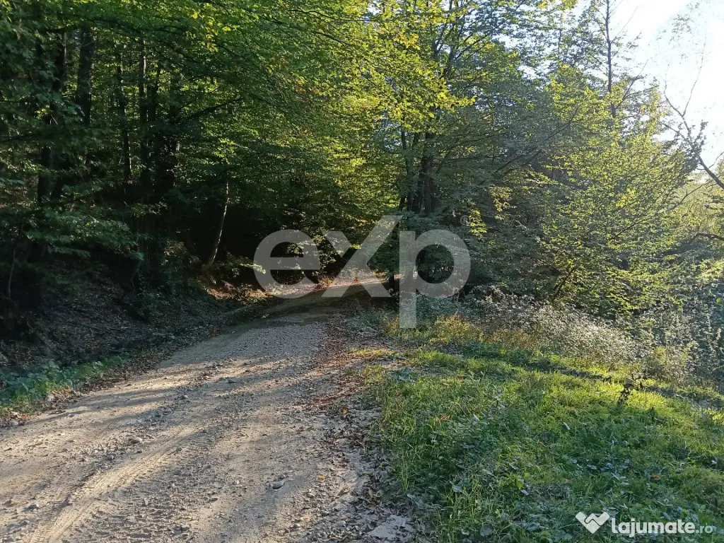 TERENUL PE CARE NU-L CAUȚI… DAR CÂND ÎL VEZI, ÎL VREI! - Vulturesti (Arges)