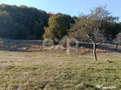 TERENUL PE CARE NU-L CAUȚI… DAR CÂND ÎL VEZI, ÎL VREI! 