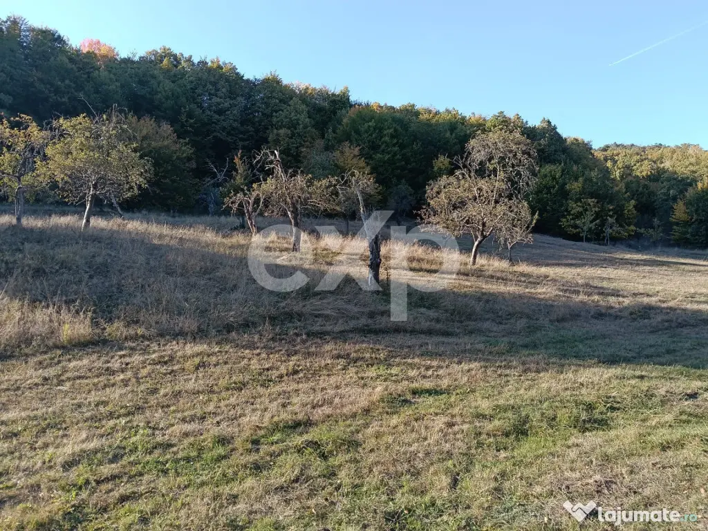 TERENUL PE CARE NU-L CAUȚI… DAR CÂND ÎL VEZI, ÎL VREI! - Vulturesti (Arges)