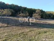 TERENUL PE CARE NU-L CAUȚI… DAR CÂND ÎL VEZI, ÎL VREI! 