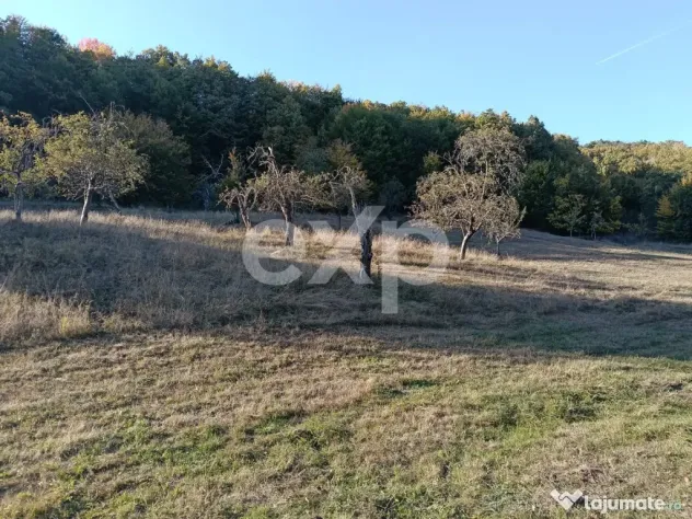 TERENUL PE CARE NU-L CAUȚI… DAR CÂND ÎL VEZI, ÎL VREI! - Vulturesti (Arges)