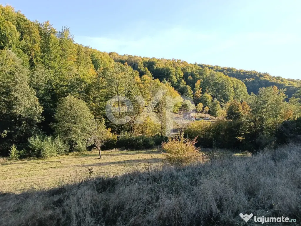 TERENUL PE CARE NU-L CAUȚI… DAR CÂND ÎL VEZI, ÎL VREI! - Vulturesti (Arges)