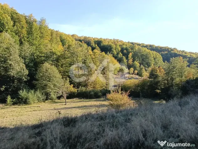 TERENUL PE CARE NU-L CAUȚI… DAR CÂND ÎL VEZI, ÎL VREI! - Vulturesti (Arges)