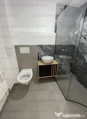 Doua garsoniere cu intrare separată | Curte și terasă | Zona Schei 