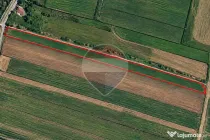 Teren 14.000 Strada Campurilor