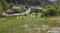 Teren intravilan de vanzare in Sasciori jud Alba 