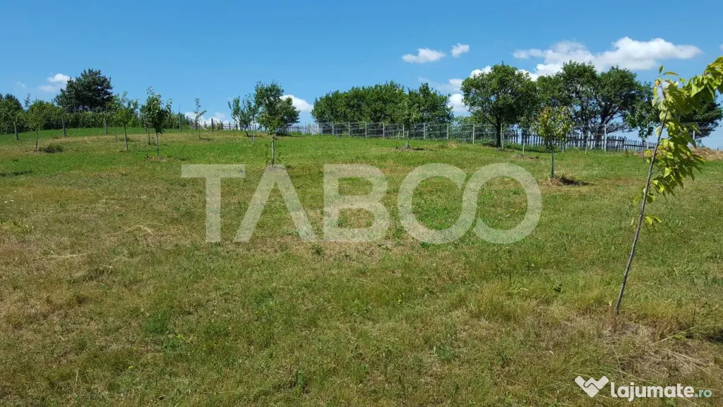 Teren 1974 mp intravilan de vanzare in Loman judetul Alba - Loman (Alba)