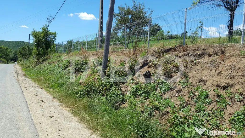 Teren 1974 mp intravilan de vanzare in Loman judetul Alba - Loman (Alba)