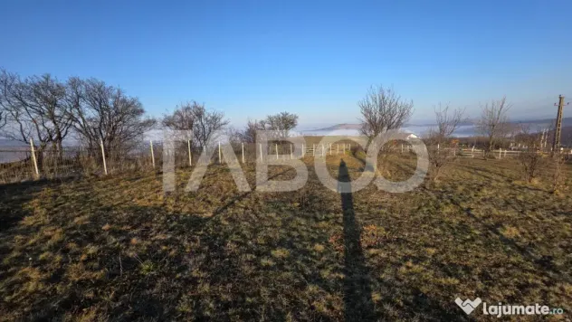 Teren 1974 mp intravilan de vanzare in Loman judetul Alba - Loman (Alba)