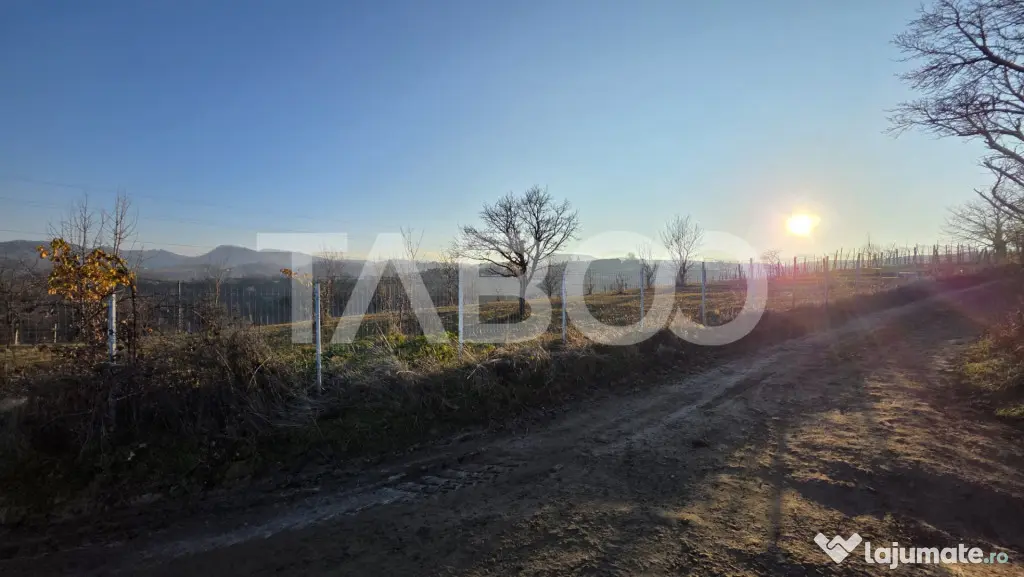 Teren 1974 mp intravilan de vanzare in Loman judetul Alba - Loman (Alba)