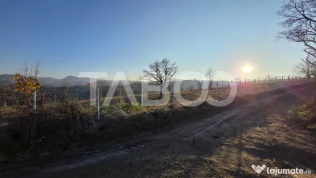 Teren 1974 mp intravilan de vanzare in Loman judetul Alba - Loman (Alba)