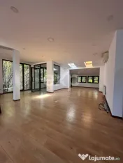 Spatiu comercial Ultracentral 220mp 