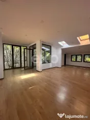 Spatiu comercial Ultracentral 220mp 