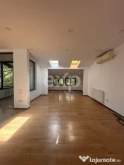 Spatiu comercial Ultracentral 220mp 