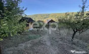 Micesti 12 km de Pitesti/ 2 cabane/ 2.500 mp teren/ privelis 