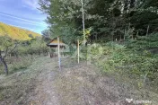 Micesti 12 km de Pitesti/ 2 cabane/ 2.500 mp teren/ privelis 