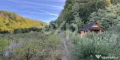 Micesti 12 km de Pitesti/ 2 cabane/ 2.500 mp teren/ privelis 