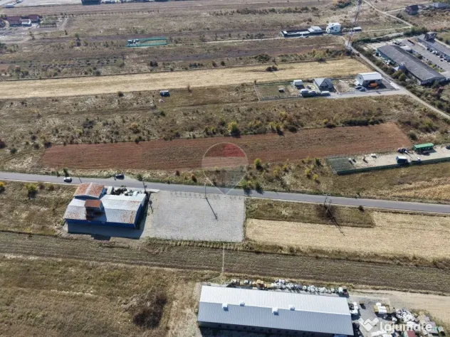 Teren intravilan 4.900 mp Albota|540 m de DN65|Certificat de Urbanism - Albota (Arges)
