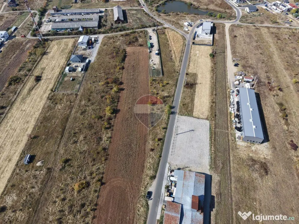 Teren intravilan 4.900 mp Albota|540 m de DN65|Certificat de Urbanism - Albota (Arges)