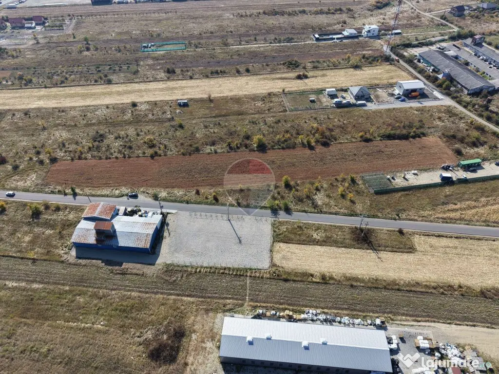 Teren intravilan 4.900 mp Albota|540 m de DN65|Certificat de Urbanism - Albota (Arges)