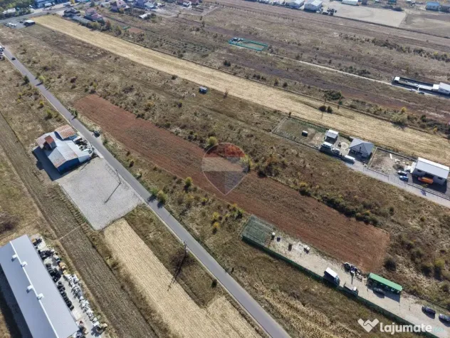Teren intravilan 4.900 mp Albota|540 m de DN65|Certificat de Urbanism - Albota (Arges)