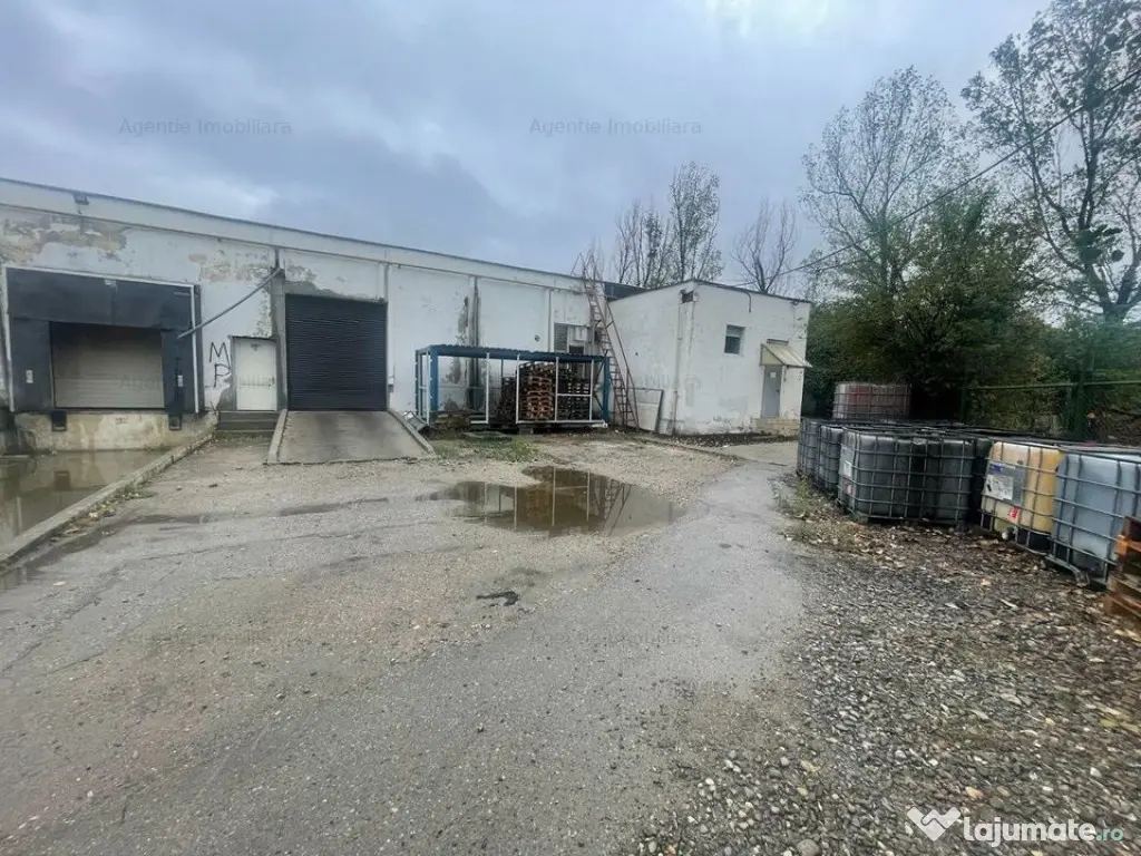 Hala 1574 mp si teren 6199 mp intre Buftea si Crevedia - Buftea (Bucuresti-Ilfov)