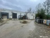 Hala 1574 mp si teren 6199 mp intre Buftea si Crevedia 