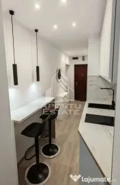 Garsoniera renovata de vanzare, zona Blascovici Timisoara 