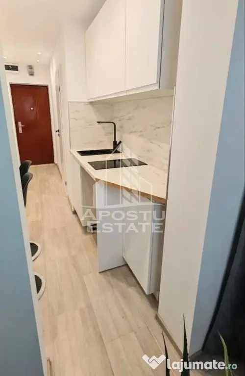 Garsoniera renovata de vanzare, zona Blascovici Timisoara - Timisoara (Timis)