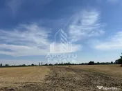 Teren de 2ha cu PUZ aprobat, Sanmihaiu Roman 