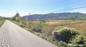 Teren 4550 mp/ Jiblea Noua