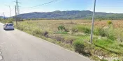 Teren 4550 mp/ Jiblea Noua