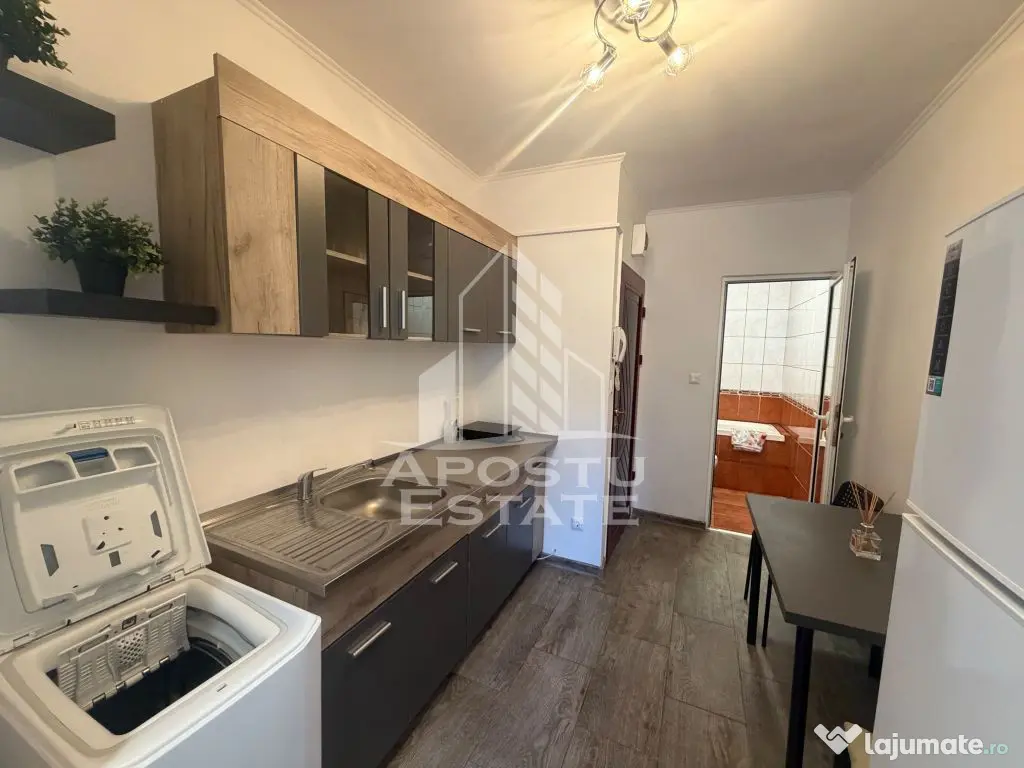 Garsoniera de vanzare, renovata , Zona Lipovei - Timisoara (Timis)
