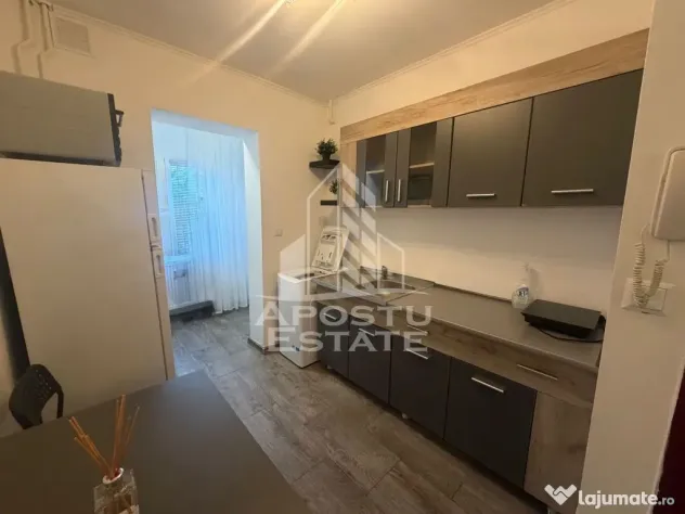 Garsoniera de vanzare, renovata , Zona Lipovei - Timisoara (Timis)