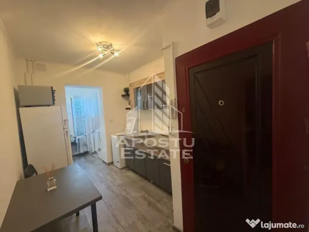 Garsoniera de vanzare, renovata , Zona Lipovei - Timisoara (Timis)